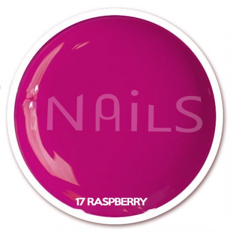 17 RASPBERRY