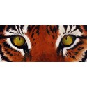 LINEA EYE OF TIGER